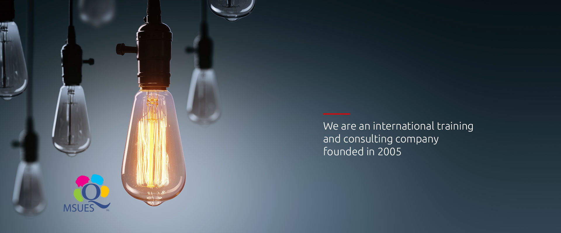 international training and consulting company